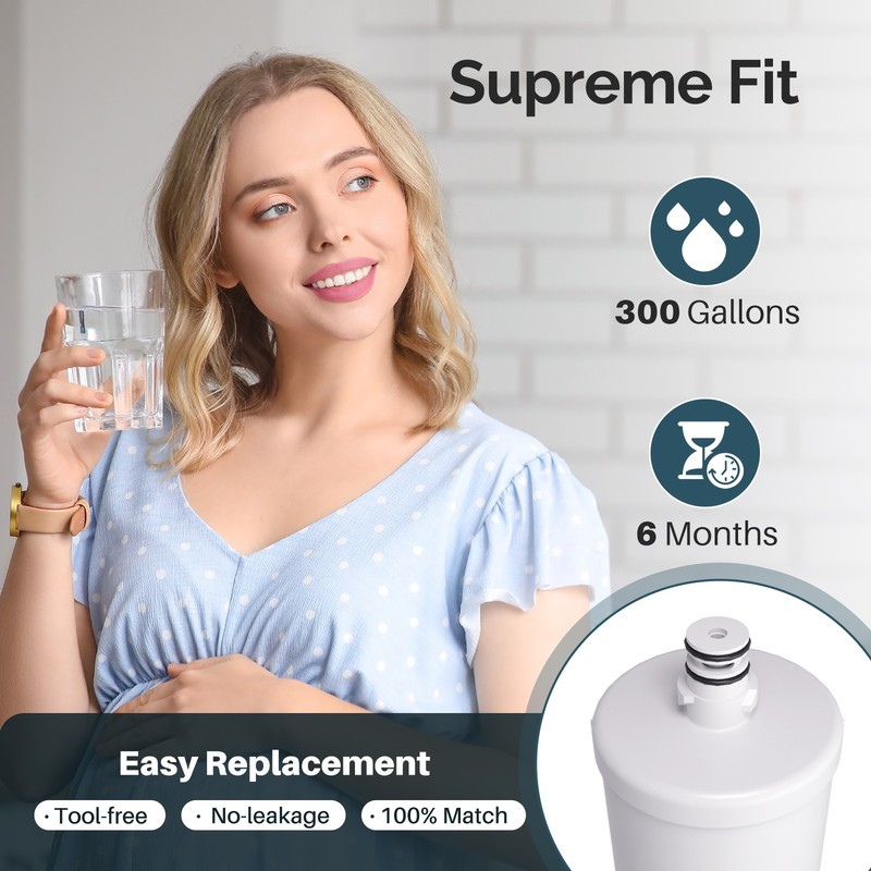 2 Pack Fit For LG LT500P 5231JA2002A CLCH110 WF-LT500P 9890 Water Filter Icepure gallery