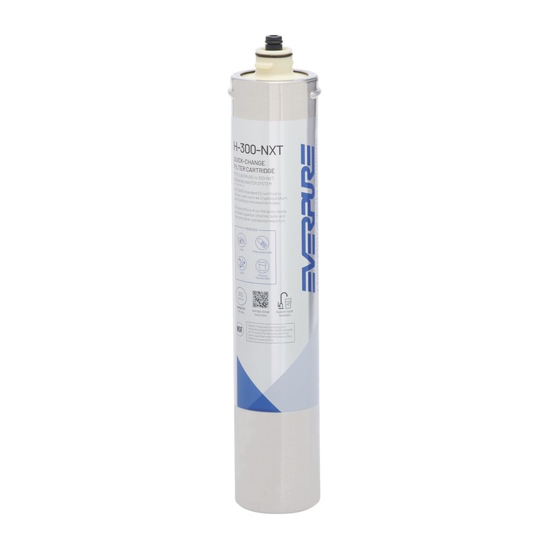 Pentair H300NXT QuickChange Filter Cartridge, EV927441, for Use in H300NXT Dr…