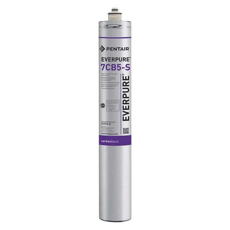 PENTAIR/EVERPURE Quick Connect Filter,Carbon,10,000 gal 32NE65