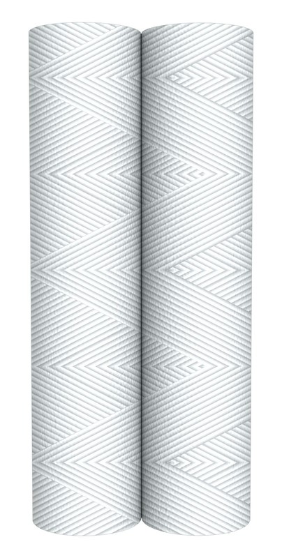 CFS COMPLETE FILTRATION SERVICES EST.2006 Compatible for Model RS2-DS 2 Pack ... gallery