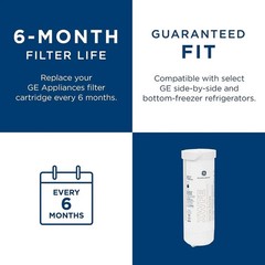 GE XWFE Refrigerator Water Filter Genuine Replacement Cartridge New (NO CHIP)