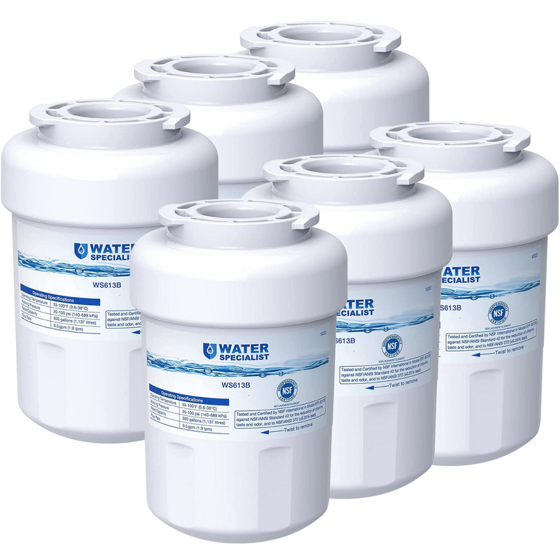 Waterspecialist MWF® Refrigerator Water Filter, Replacement for GE® MWF®(6)