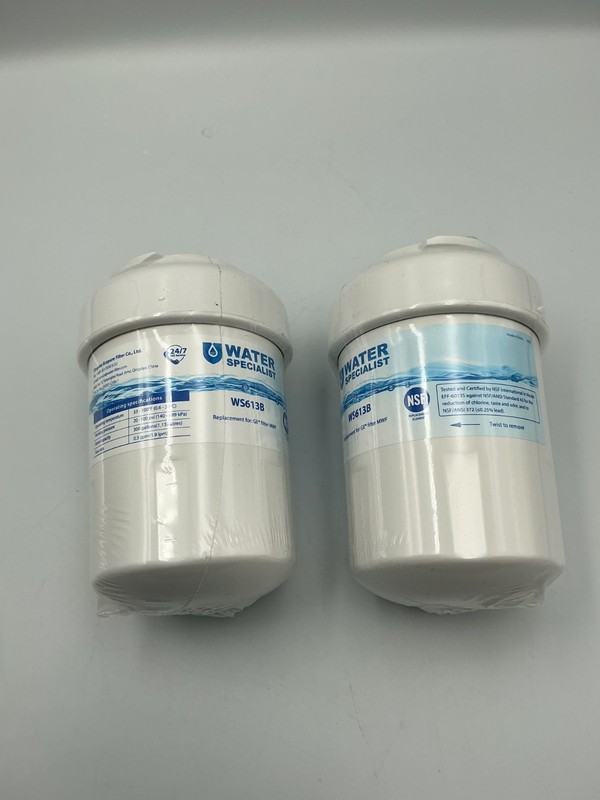 2 Water Specialist WS613B Refrigerator Water Filter Replacement for GE MWF gallery