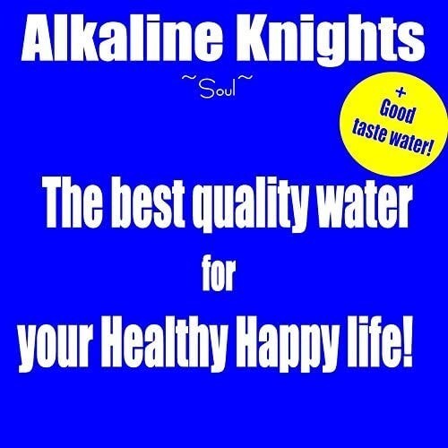 JAPAN HG-N LEAD REMOVE REPLACEMENT WATER FILTER FOR ENAGIC KANGEN Leveluk SD501 gallery